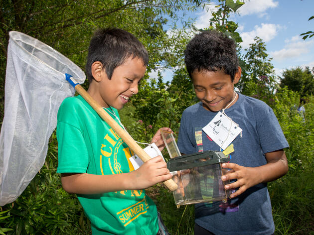 Two-Day Camps at the John James Audubon Center