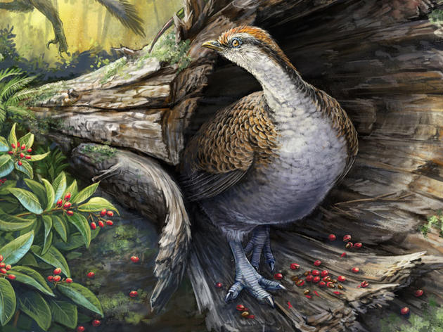 How Did the Ancestors of Birds Survive the Apocalypse?